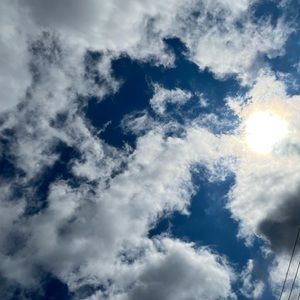 Meet your Posher, Ross